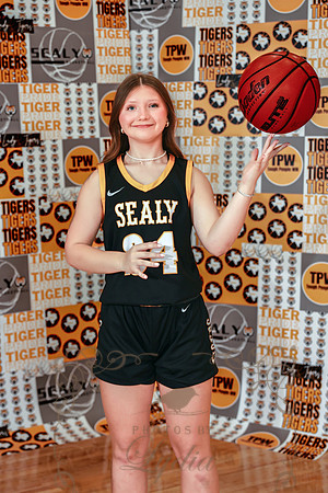Sealy-8158