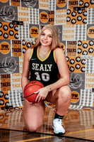 Sealy-8186