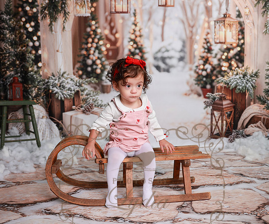 Christmas-24