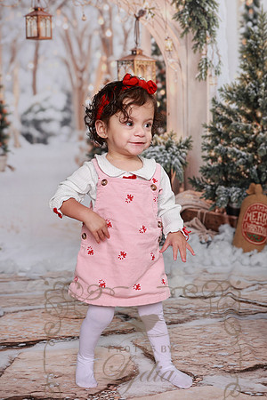 Christmas-29
