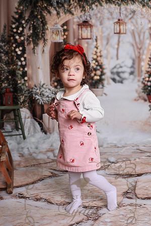 Christmas-33