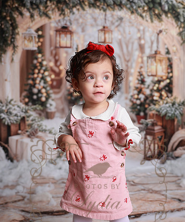 Christmas-34