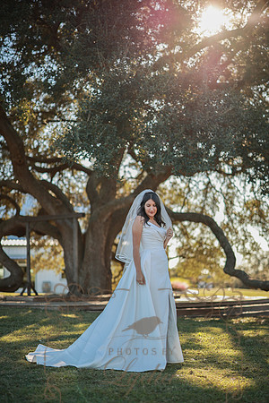 Bridals-2
