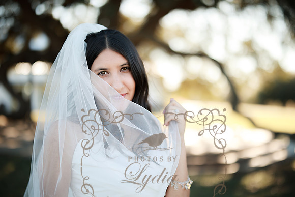 Bridals-11