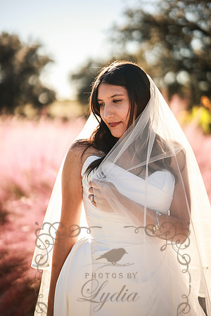 Bridals-62