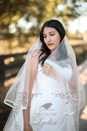 Bridals-91