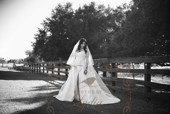 Bridals-99