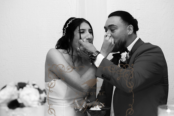 Cake & Toasts-83