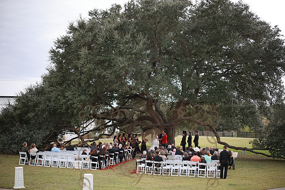 Ceremony-77