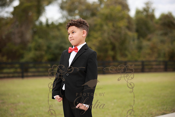 First Looks-2