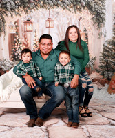 Family-11