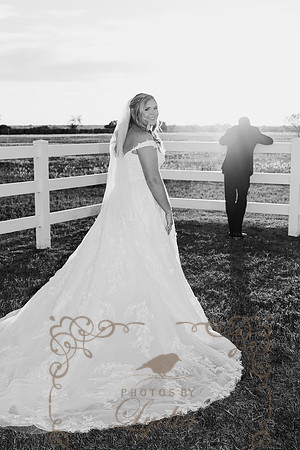 First Looks-0360