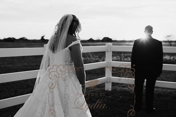First Looks-0474-2