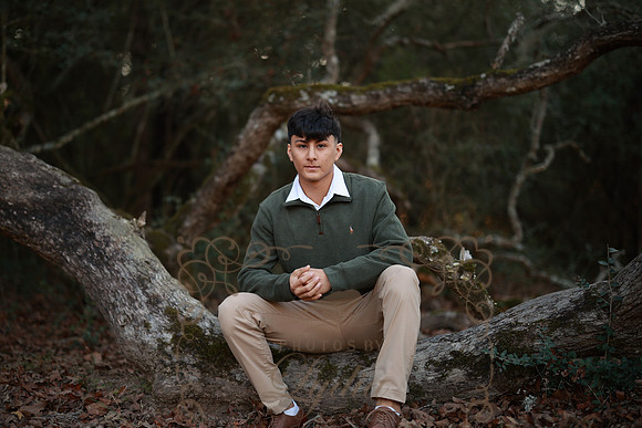 Gio-0026