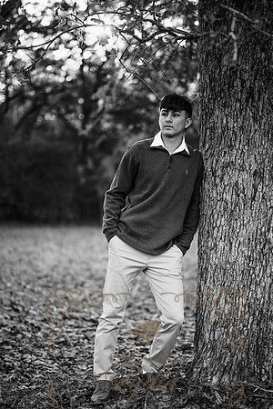 Gio-0046-2