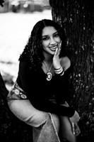 Cheyenne-9270-2