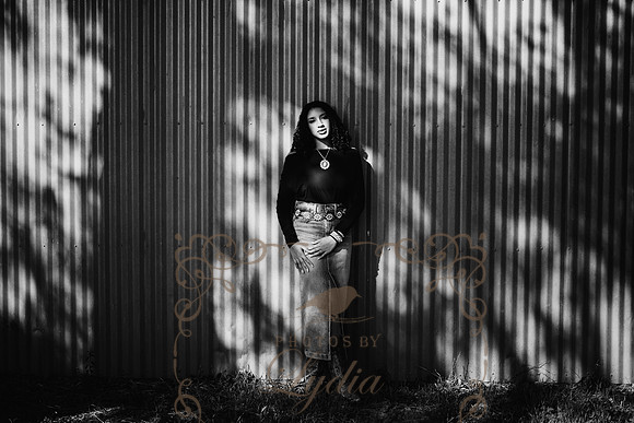 Cheyenne-9336-2