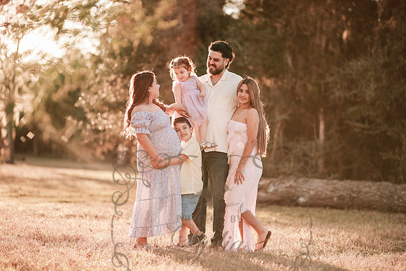 Maternity (66)