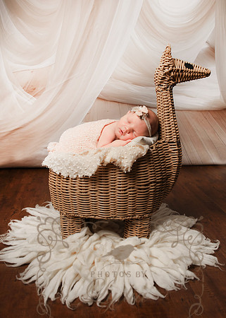 McGuire (56)