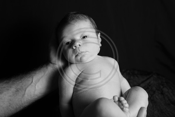 IMG_0200bw