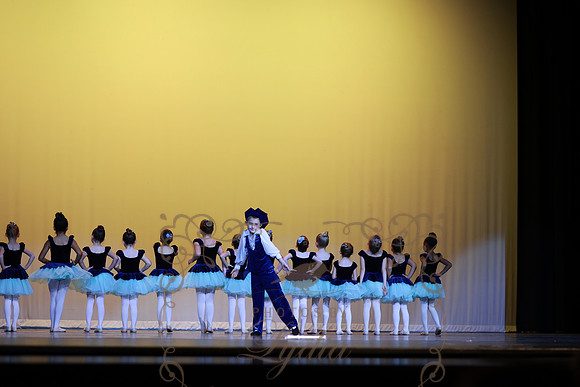 Pied Piper (55)