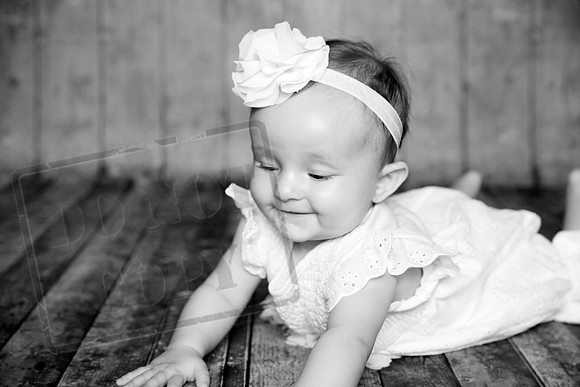 IMG_0481bw