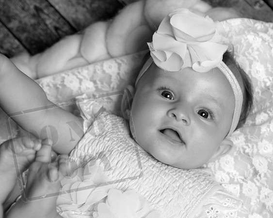 IMG_0506bw