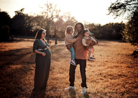 Family-3868