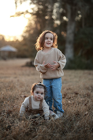 Family-4347