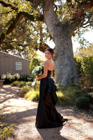 Prom-3008