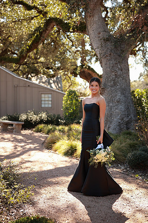 Prom-3006