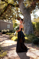 Prom-3010