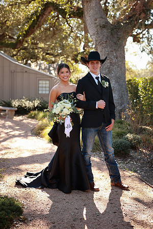 Prom-3071