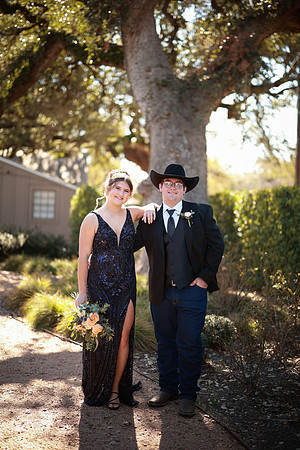 Prom-3110