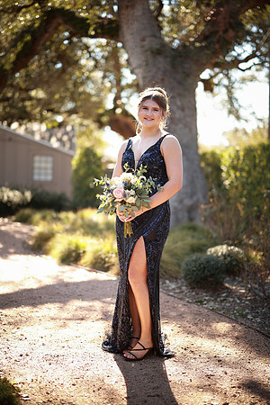 Prom-3116