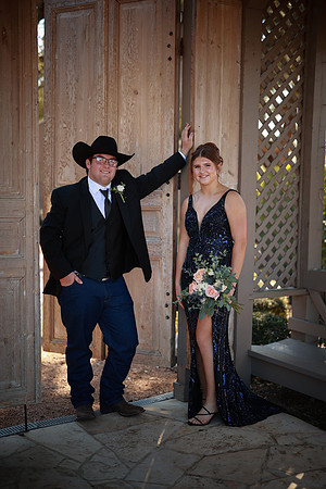 Prom-3164