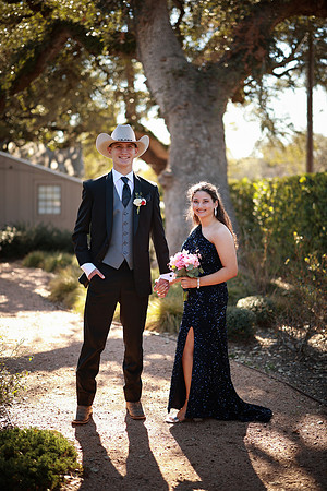 Prom-3175