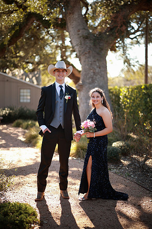Prom-3171