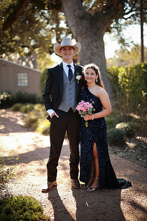 Prom-3177