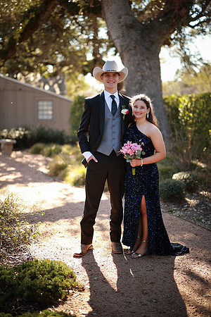 Prom-3179