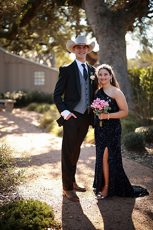 Prom-3182