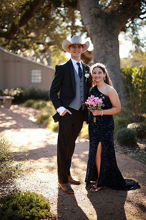 Prom-3184