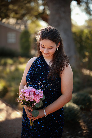 Prom-3223