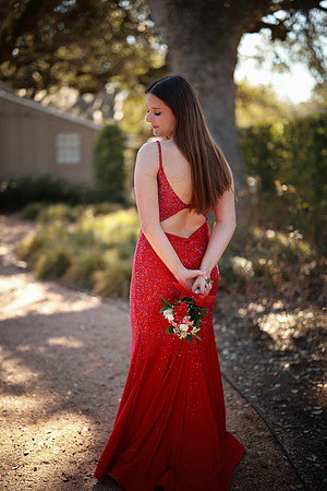 Prom-3267