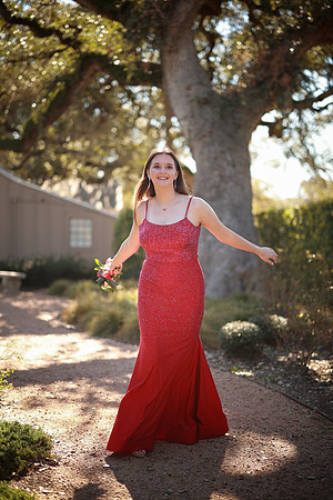 Prom-3280