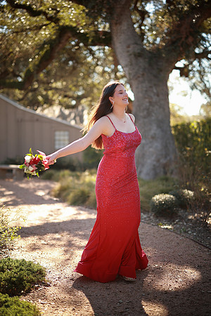 Prom-3281