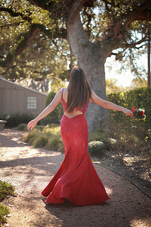Prom-3291