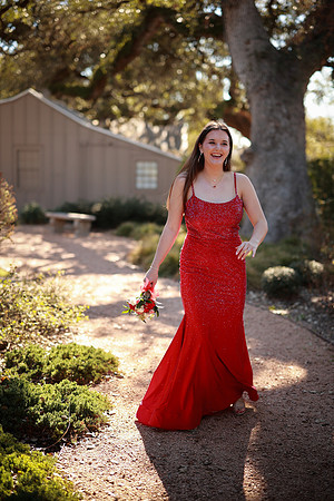 Prom-3294