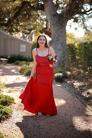 Prom-3301
