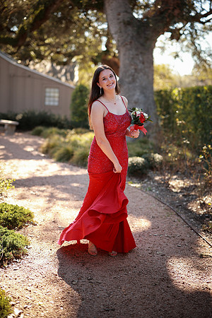 Prom-3306